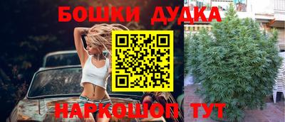 кокс Гулькевичи