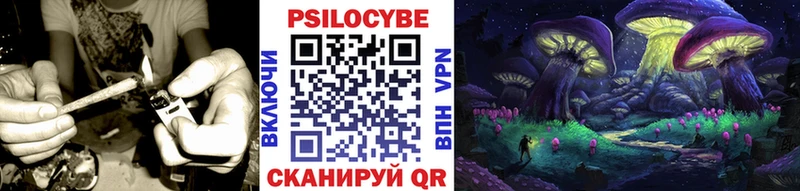 Псилоцибиновые грибы Psilocybine cubensis  Качканар 