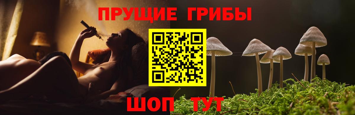 Галлюциногенные грибы Cubensis Качканар