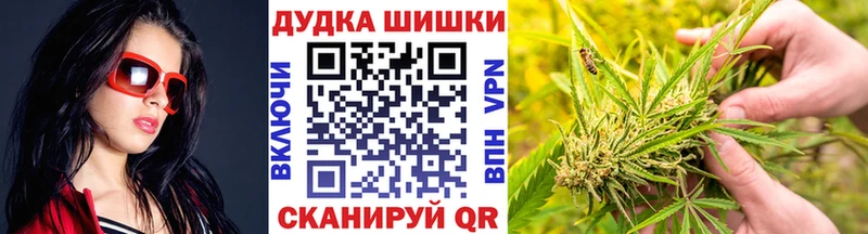 где можно купить   Качканар  Бошки Шишки индика 