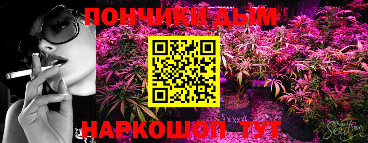 Канабис планчик  Канабис ГИДРОПОН  Канабис ГИДРОПОН  Канабис Bruce Banner  Качканар  Вход с VPN 